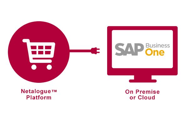 B2B Ecommerce for SAP Business One