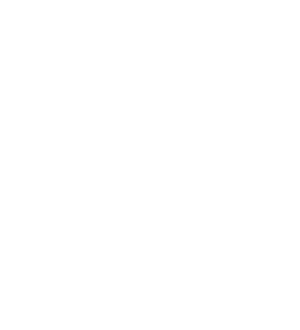 Zebra Fetch