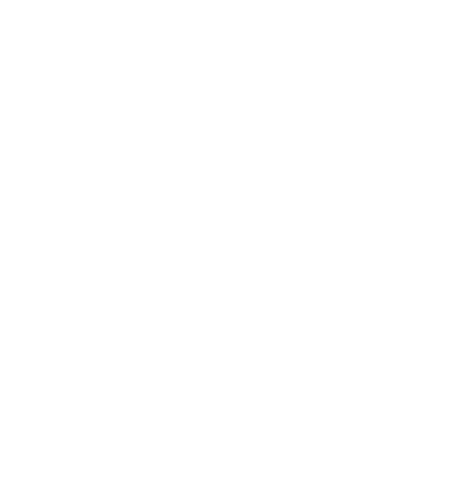 Zebra Fetch