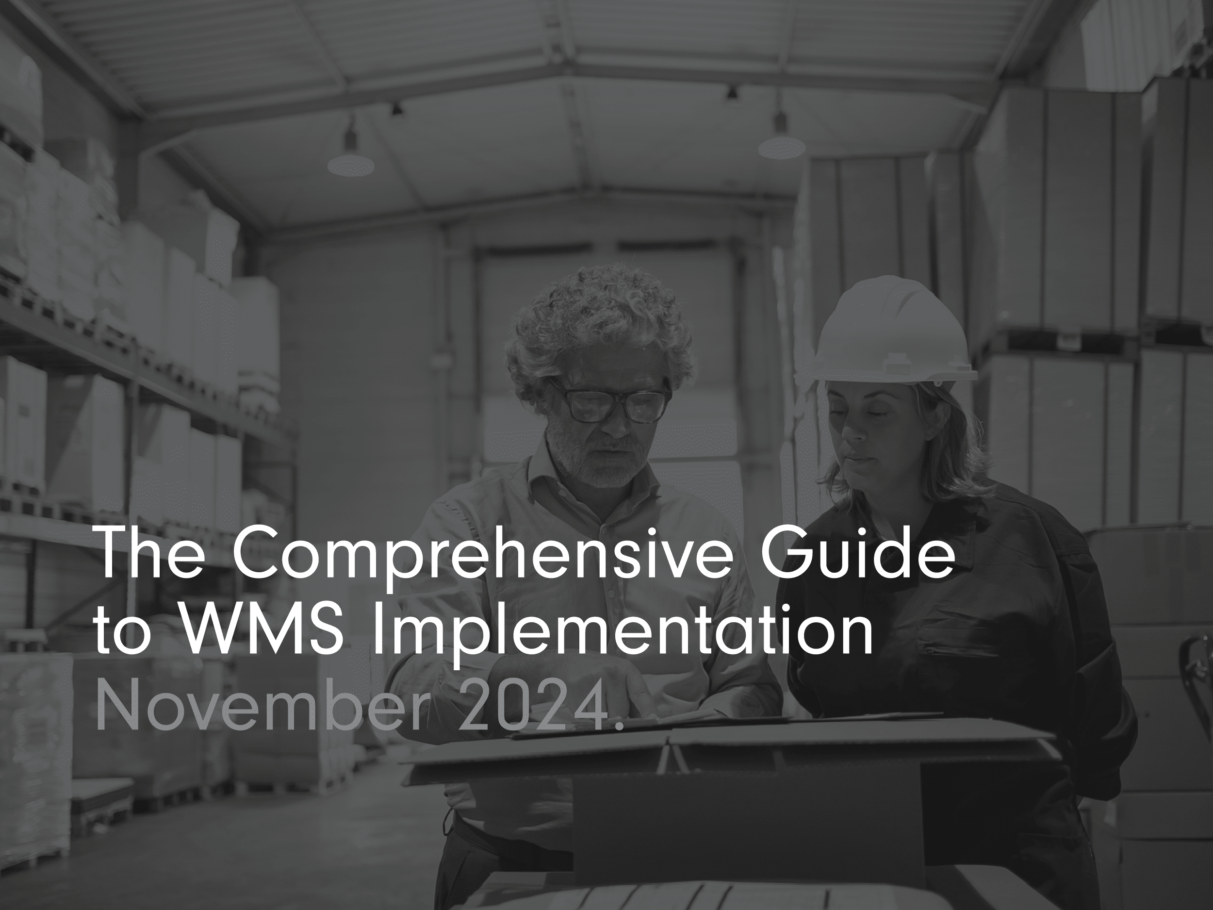 The Comprehensive Guide to WMS Implementation