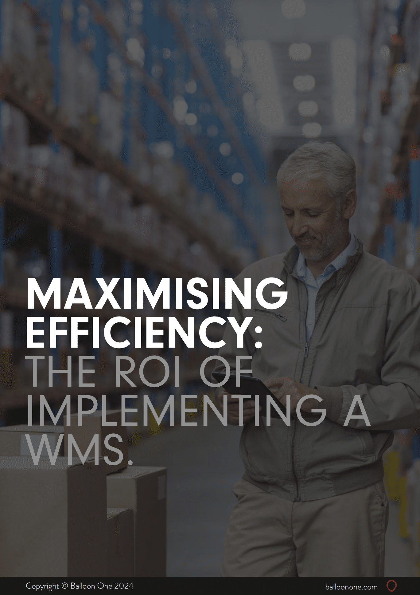 ROI of implementing a WMS